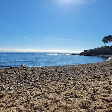 Appartement La Tranquillite, 2Mn A Pieds Mer Fréjus エクステリア 写真